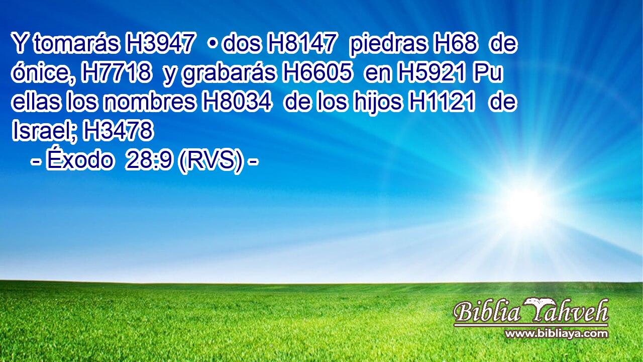 Y tomarás H3947  • dos H8147  piedras H68  de ónice, H7718  y grabarás H6605  en H5921 Pu ellas los nombres H8034  de los hijos H1121  de Israel; H3478  