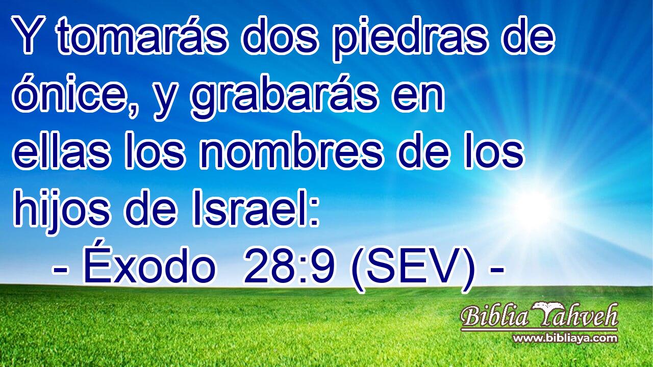 Y tomarás dos piedras de ónice, y grabarás en ellas los nombres de los hijos de Israel: