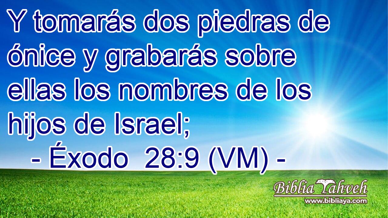  Y tomarás dos piedras de ónice y grabarás sobre ellas los nombres de los hijos de Israel; 