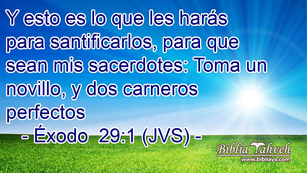 Y esto es lo que les harás para santificarlos, para que sean mis sacerdotes: Toma un novillo, y dos carneros perfectos