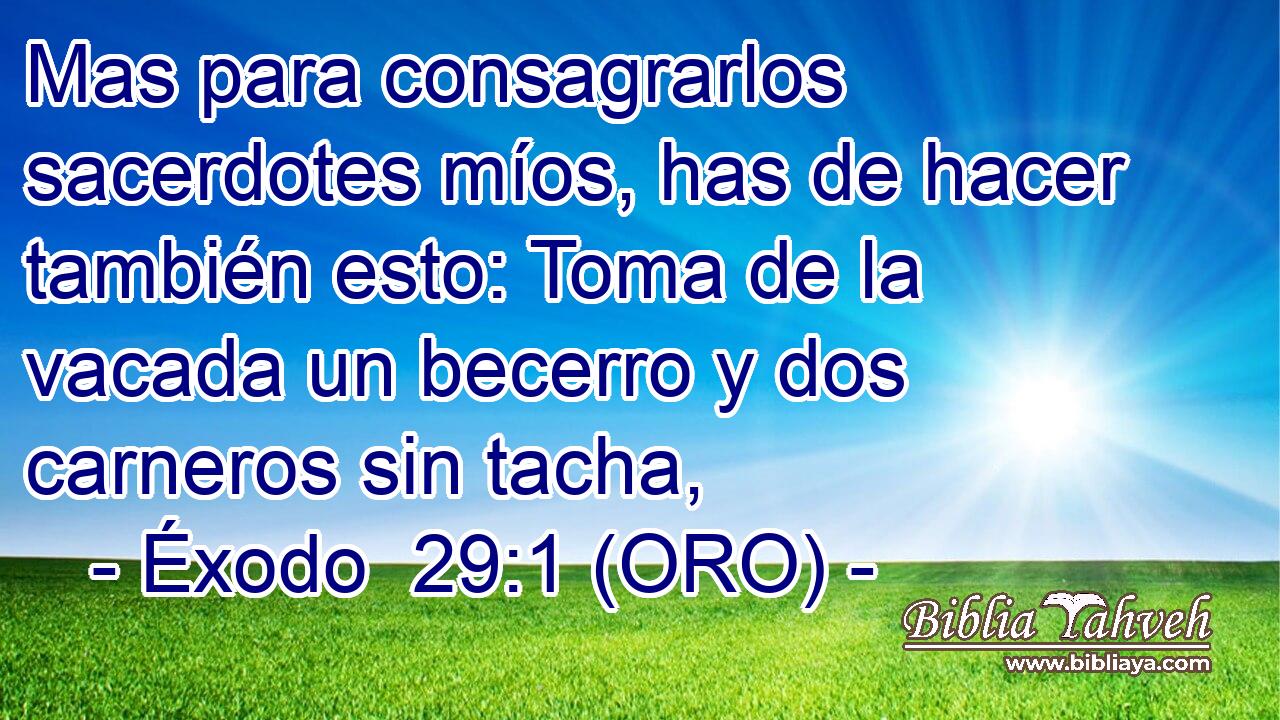  Mas para consagrarlos sacerdotes míos, has de hacer también esto: Toma de la vacada un becerro y dos carneros sin tacha, 