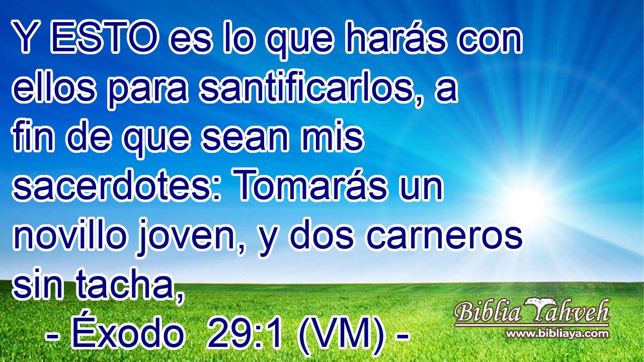  Y ESTO es lo que harás con ellos para santificarlos, a fin de que sean mis sacerdotes: Tomarás un novillo joven, y dos carneros sin tacha, 