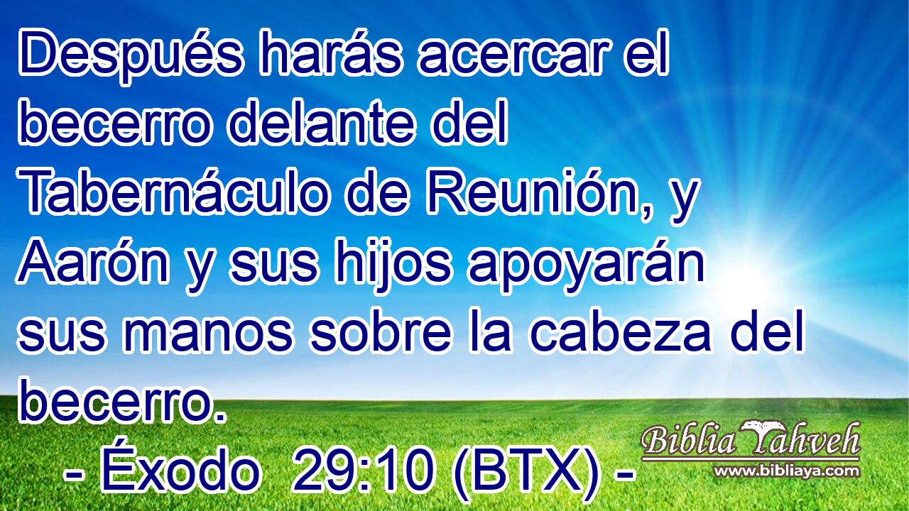 Después harás acercar el becerro delante del Tabernáculo de Reunión, y Aarón y sus hijos apoyarán sus manos sobre la cabeza del becerro.