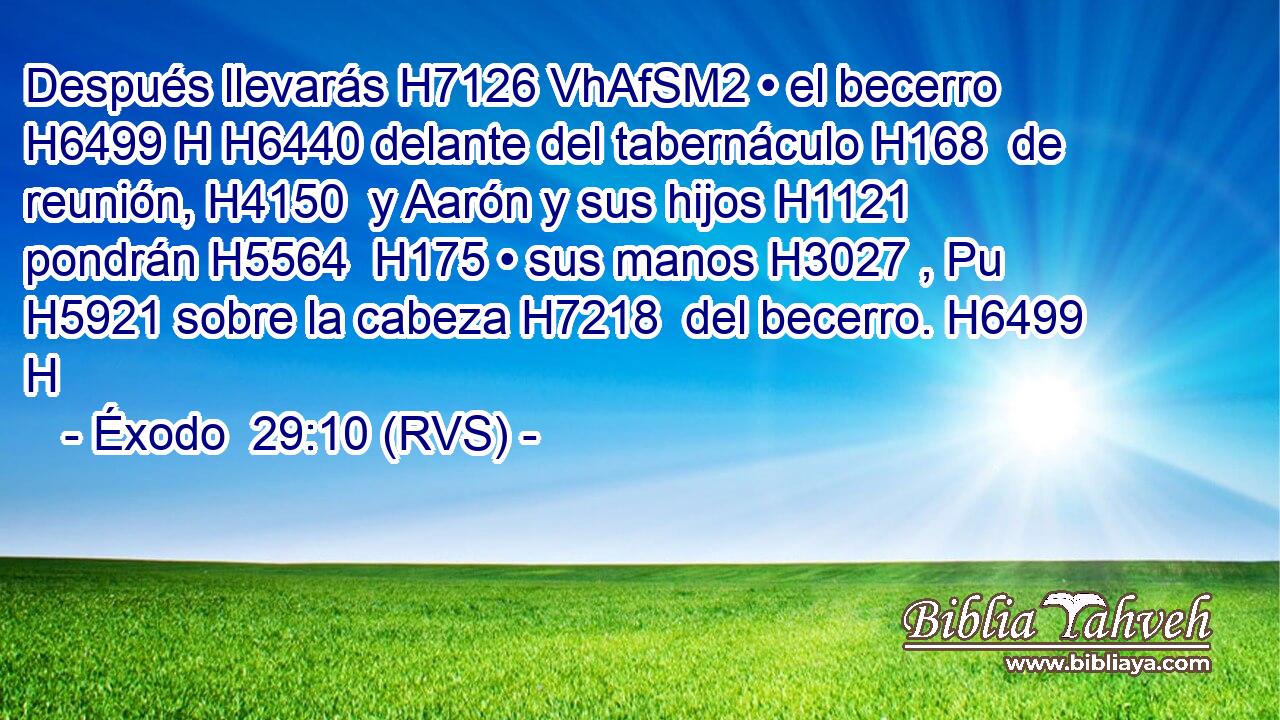 Después llevarás H7126 VhAfSM2 • el becerro H6499 H H6440 delante del tabernáculo H168  de reunión, H4150  y Aarón y sus hijos H1121  pondrán H5564  H175 • sus manos H3027 , Pu H5921 sobre la cabeza H7218  del becerro. H6499 H 