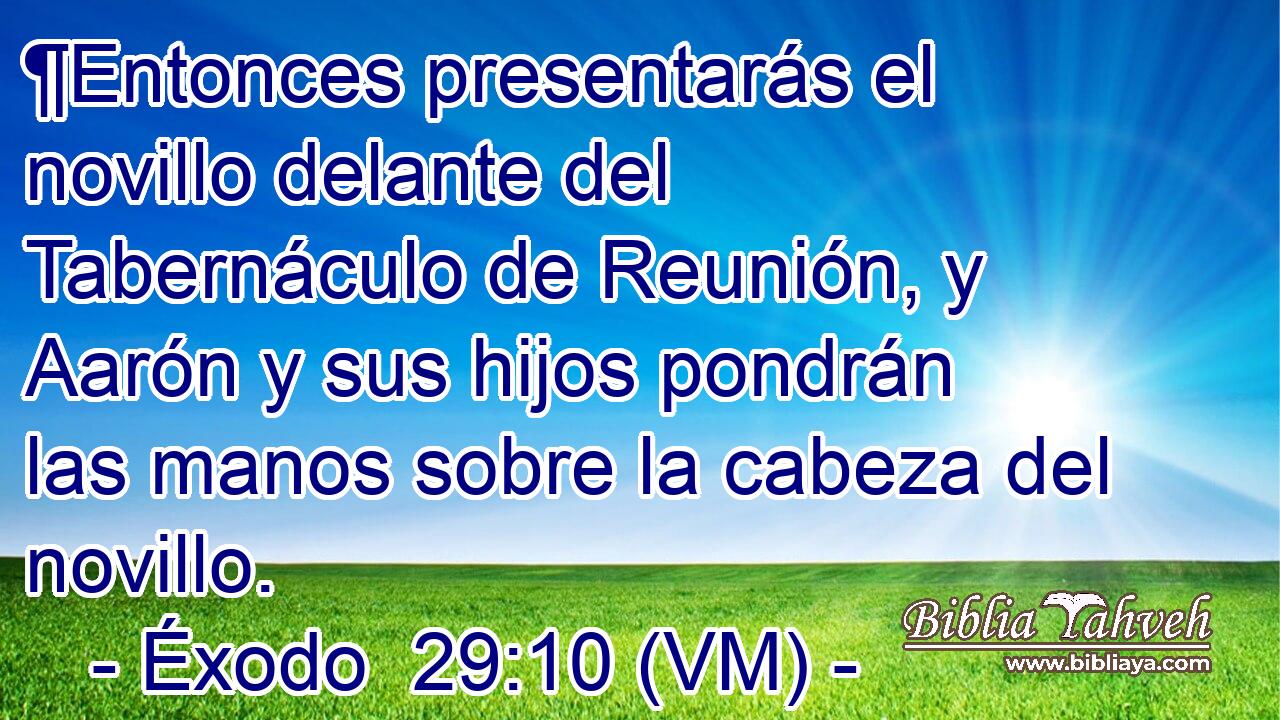  ¶Entonces presentarás el novillo delante del Tabernáculo de Reunión, y Aarón y sus hijos pondrán las manos sobre la cabeza del novillo. 