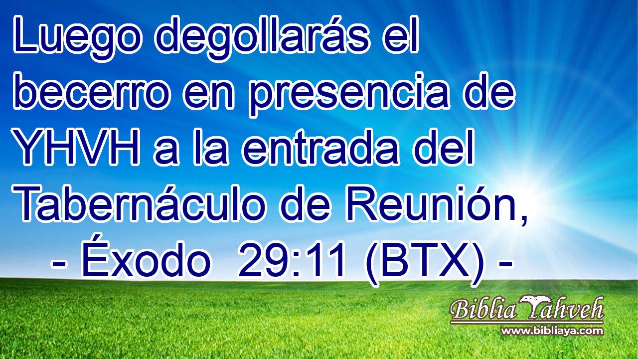 Luego degollarás el becerro en presencia de YHVH a la entrada del Tabernáculo de Reunión,
