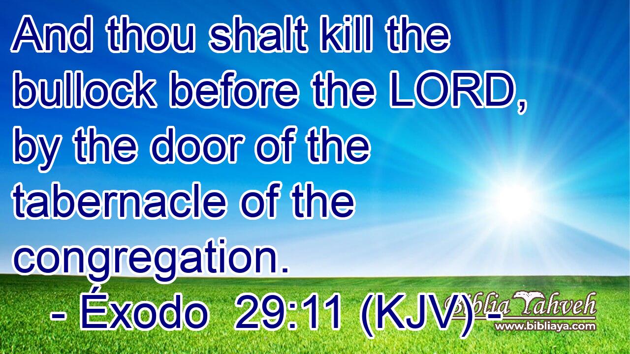 And thou shalt kill the bullock before the LORD, by the door of the tabernacle of the congregation.
