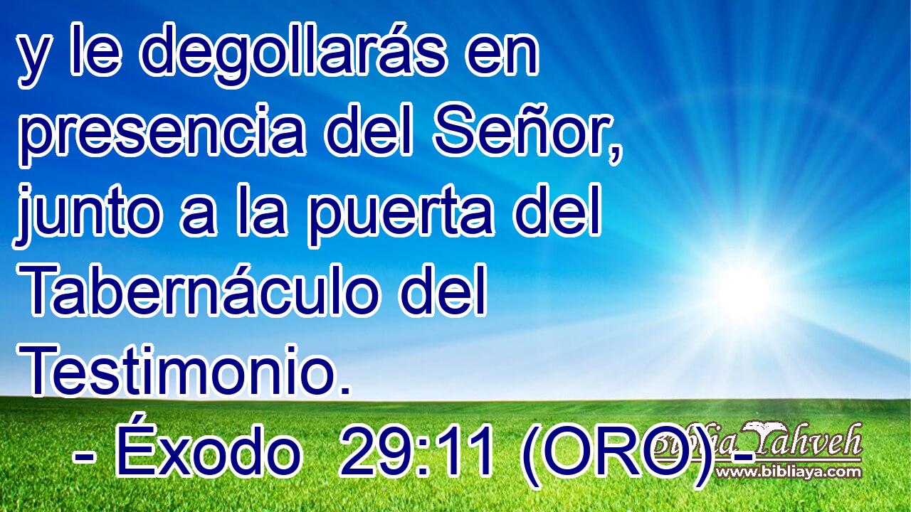  y le degollarás en presencia del Señor, junto a la puerta del Tabernáculo del Testimonio. 