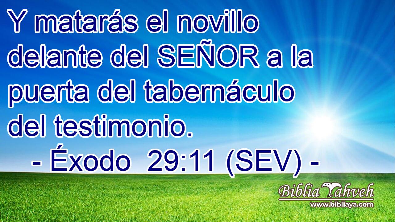 Y matarás el novillo delante del SEÑOR a la puerta del tabernáculo del testimonio.