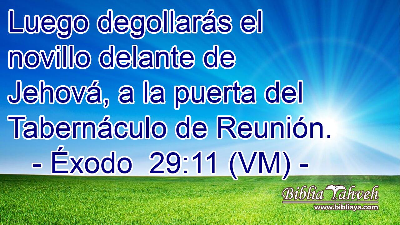  Luego degollarás el novillo delante de Jehová, a la puerta del Tabernáculo de Reunión. 