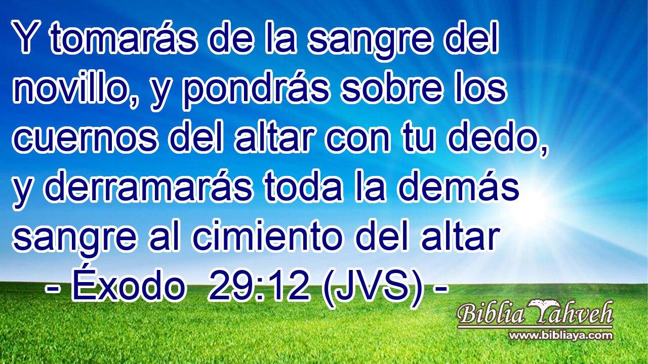 Y tomarás de la sangre del novillo, y pondrás sobre los cuernos del altar con tu dedo, y derramarás toda la demás sangre al cimiento del altar