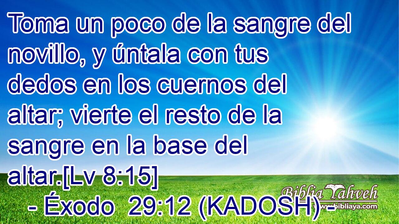  Toma un poco de la sangre del novillo, y úntala con tus dedos en los cuernos del altar; vierte el resto de la sangre en la base del altar.[Lv 8:15] 