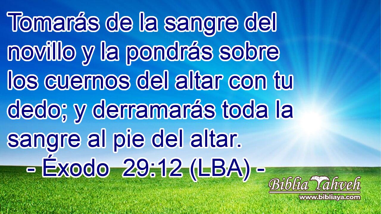 Tomarás de la sangre del novillo y la pondrás sobre los cuernos del altar con tu dedo; y derramarás toda la sangre al pie del altar.