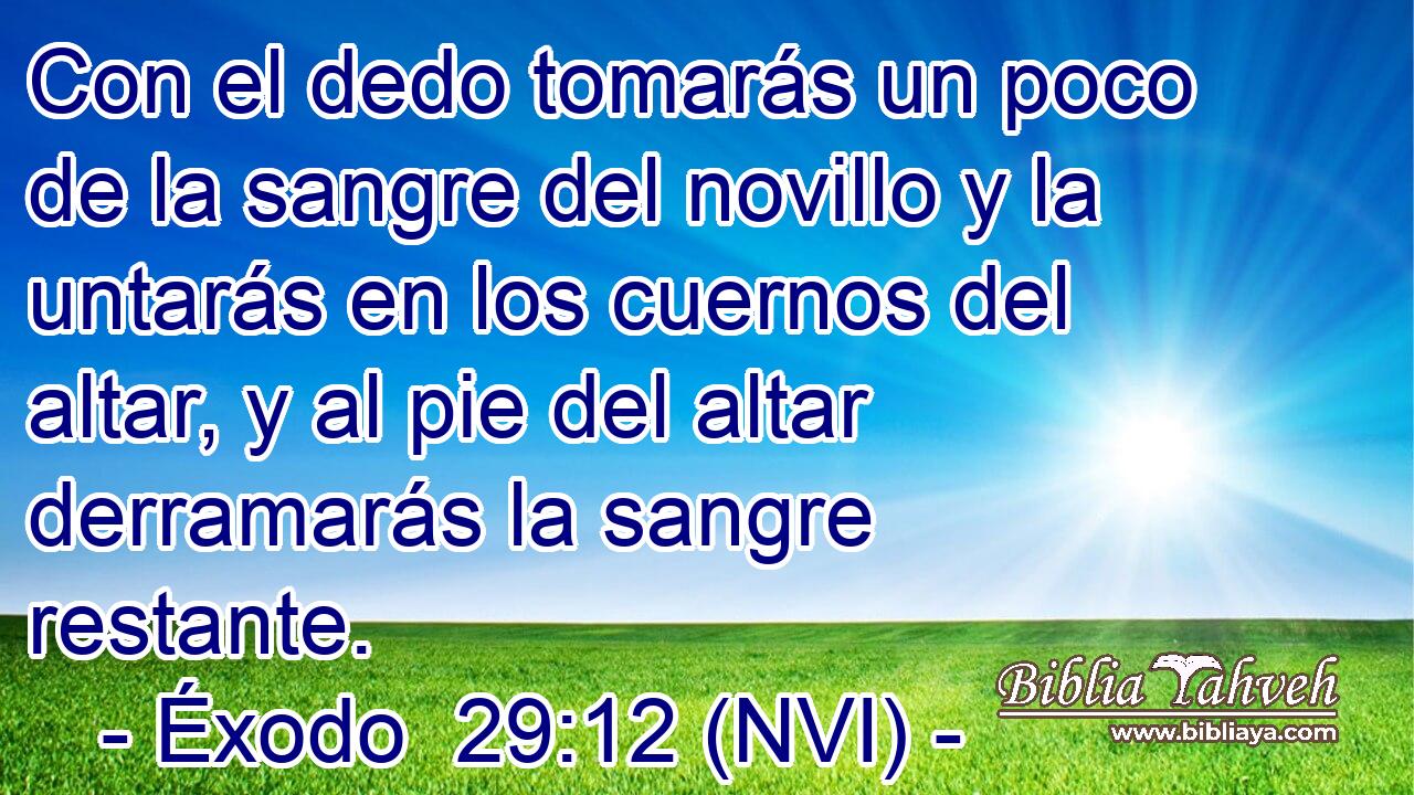  Con el dedo tomarás un poco de la sangre del novillo y la untarás en los cuernos del altar, y al pie del altar derramarás la sangre restante. 