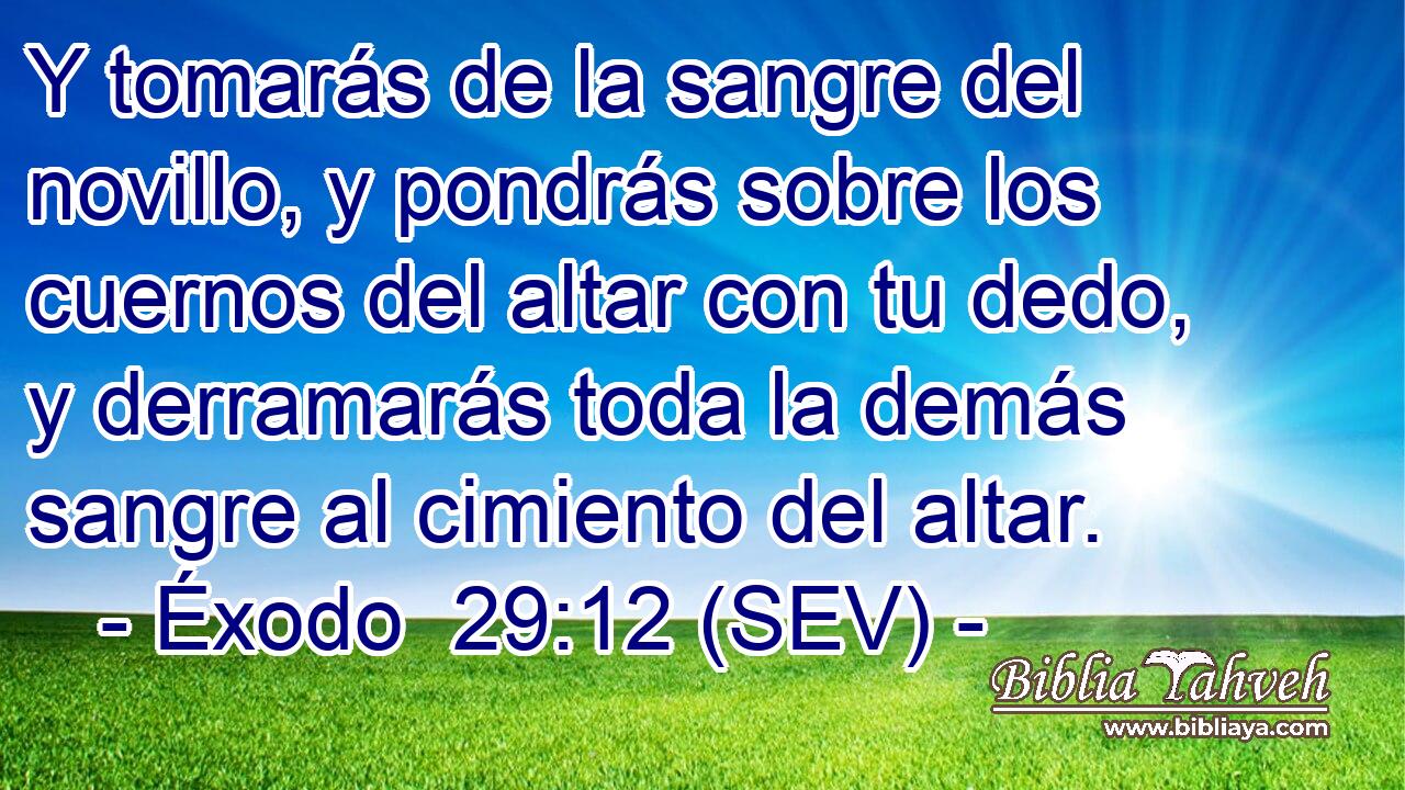 Y tomarás de la sangre del novillo, y pondrás sobre los cuernos del altar con tu dedo, y derramarás toda la demás sangre al cimiento del altar.