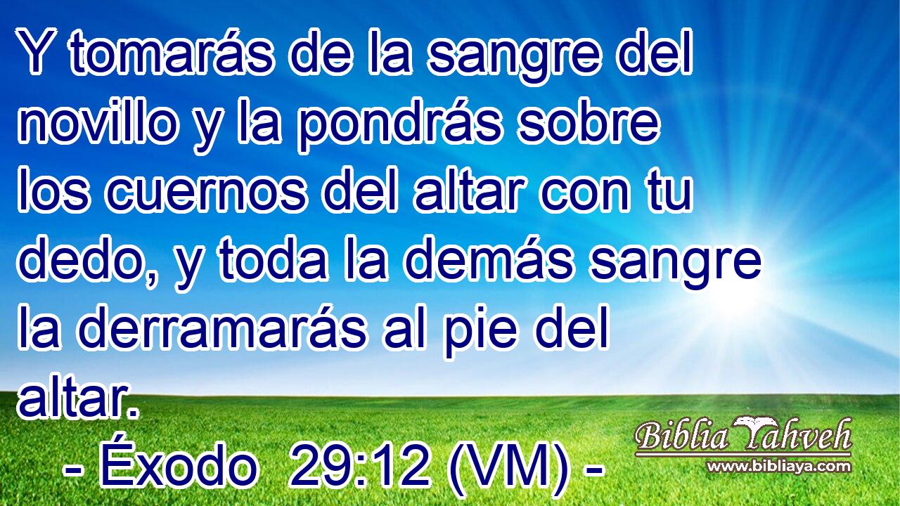  Y tomarás de la sangre del novillo y la pondrás sobre los cuernos del altar con tu dedo, y toda la demás sangre la derramarás al pie del altar. 