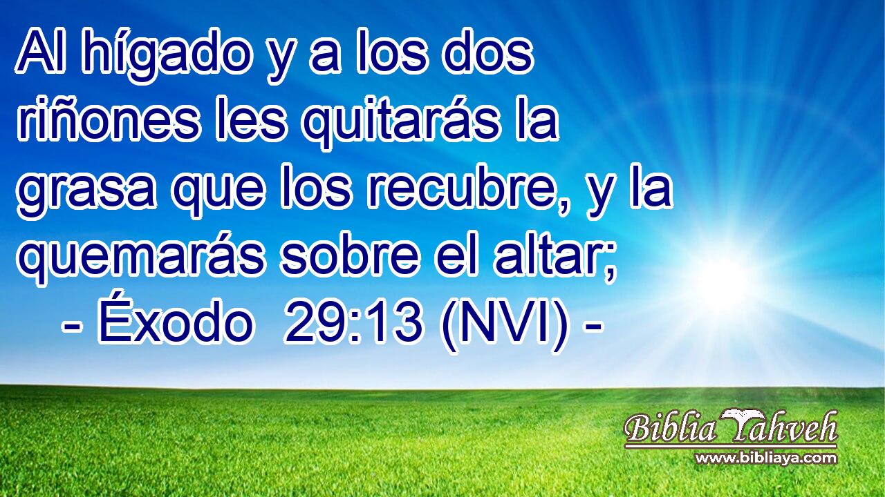  Al hígado y a los dos riñones les quitarás la grasa que los recubre, y la quemarás sobre el altar; 