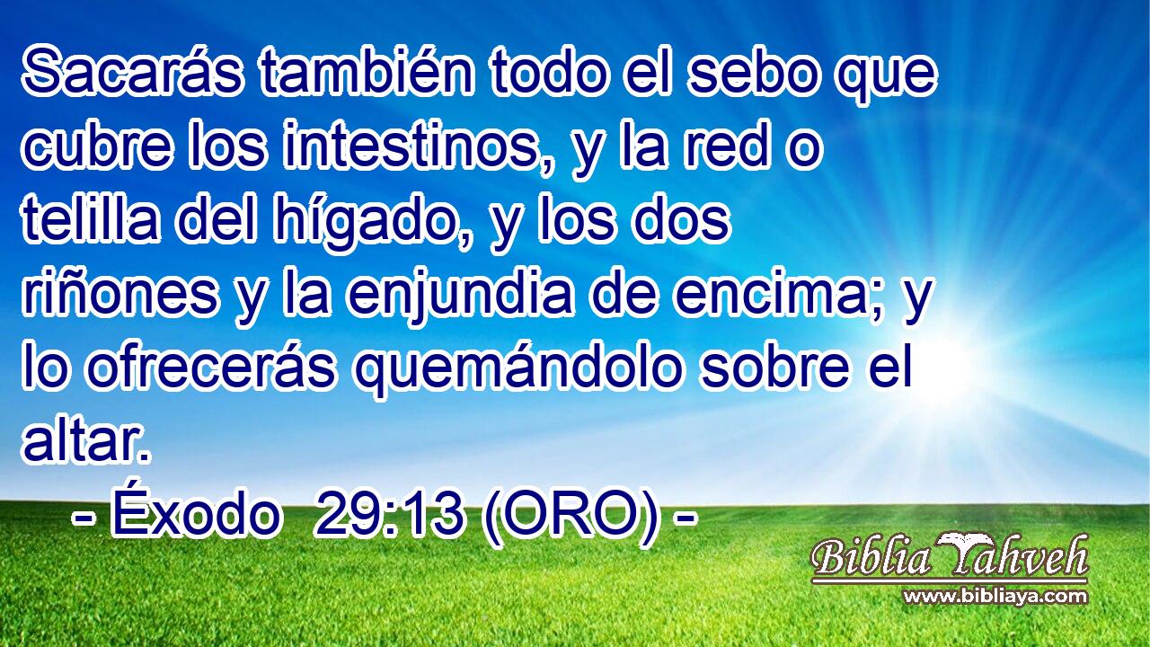  Sacarás también todo el sebo que cubre los intestinos, y la red o telilla del hígado, y los dos riñones y la enjundia de encima; y lo ofrecerás quemándolo sobre el altar. 