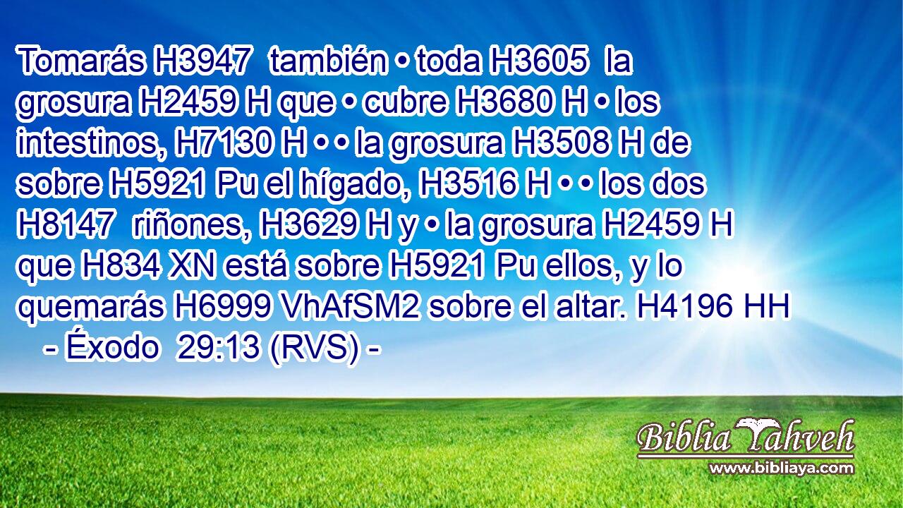 Tomarás H3947  también • toda H3605  la grosura H2459 H que • cubre H3680 H • los intestinos, H7130 H • • la grosura H3508 H de sobre H5921 Pu el hígado, H3516 H • • los dos H8147  riñones, H3629 H y • la grosura H2459 H que H834 XN está sobre H5921 Pu ellos, y lo quemarás H6999 VhAfSM2 sobre el altar. H4196 HH 