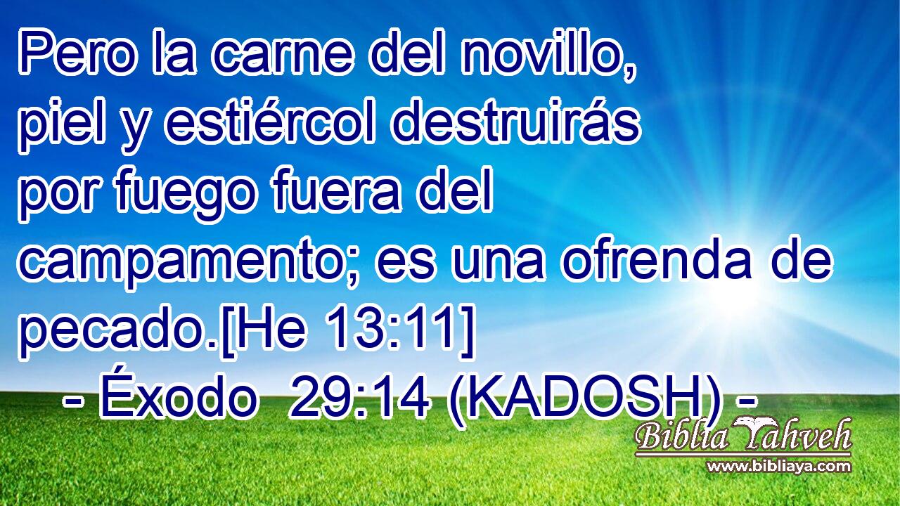  Pero la carne del novillo, piel y estiércol destruirás por fuego fuera del campamento; es una ofrenda de pecado.[He 13:11] 