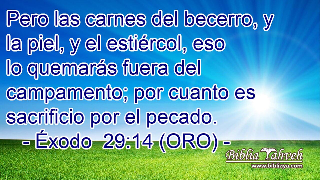  Pero las carnes del becerro, y la piel, y el estiércol, eso lo quemarás fuera del campamento; por cuanto es sacrificio por el pecado. 