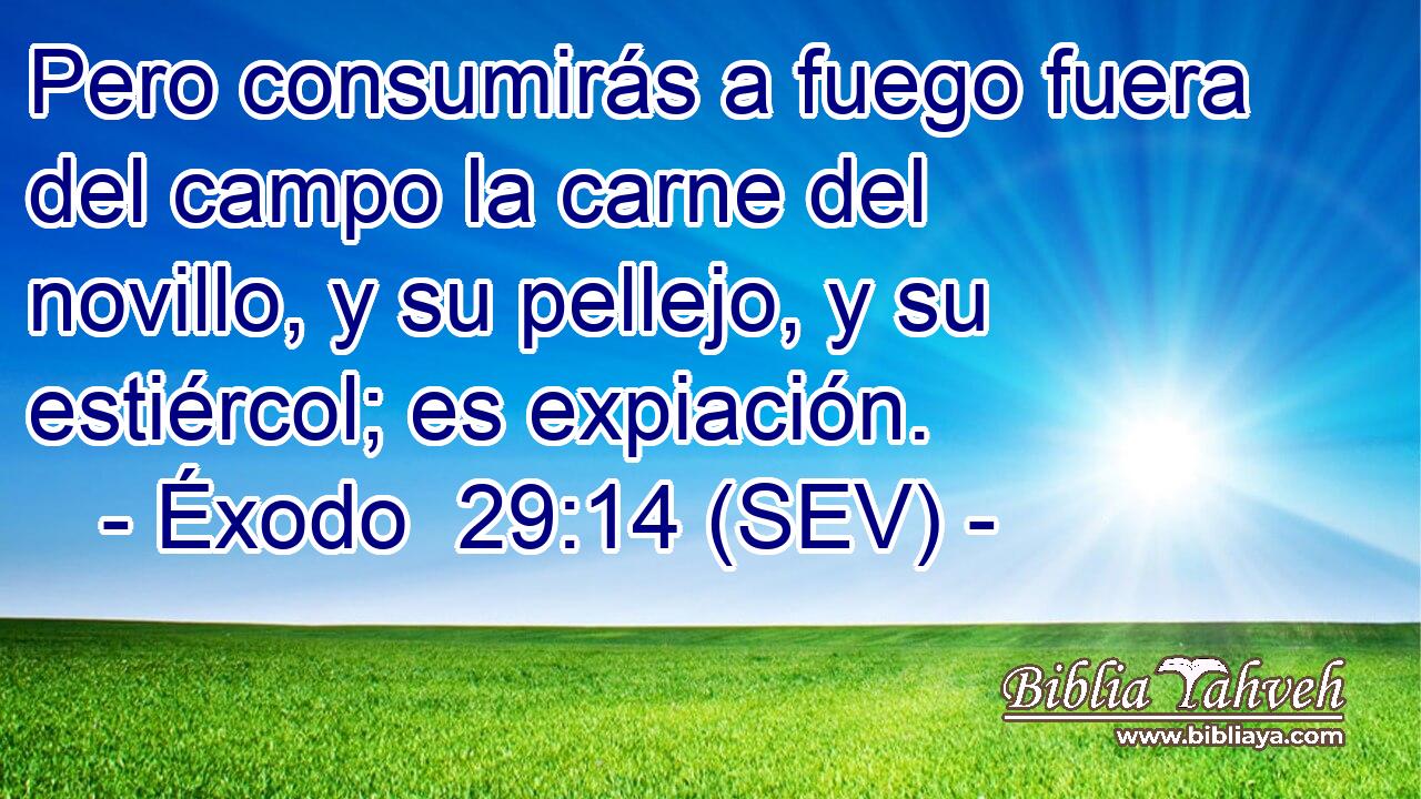 Pero consumirás a fuego fuera del campo la carne del novillo, y su pellejo, y su estiércol; es expiación.