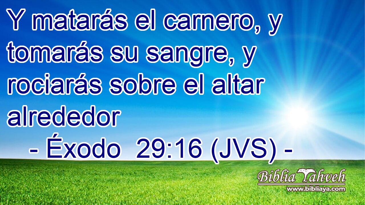 Y matarás el carnero, y tomarás su sangre, y rociarás sobre el altar alrededor