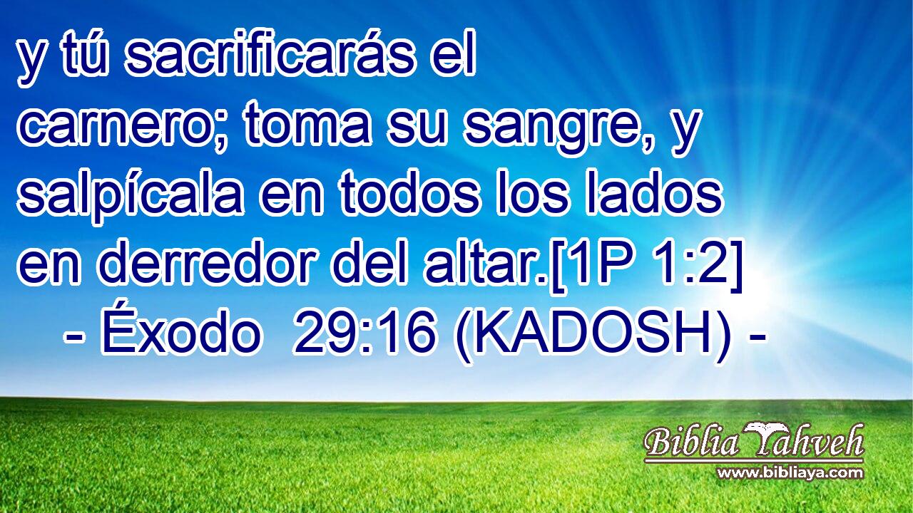  y tú sacrificarás el carnero; toma su sangre, y salpícala en todos los lados en derredor del altar.[1P 1:2] 