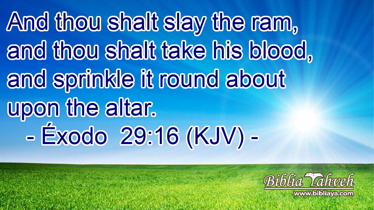 And thou shalt slay the ram, and thou shalt take his blood, and sprinkle it round about upon the altar.