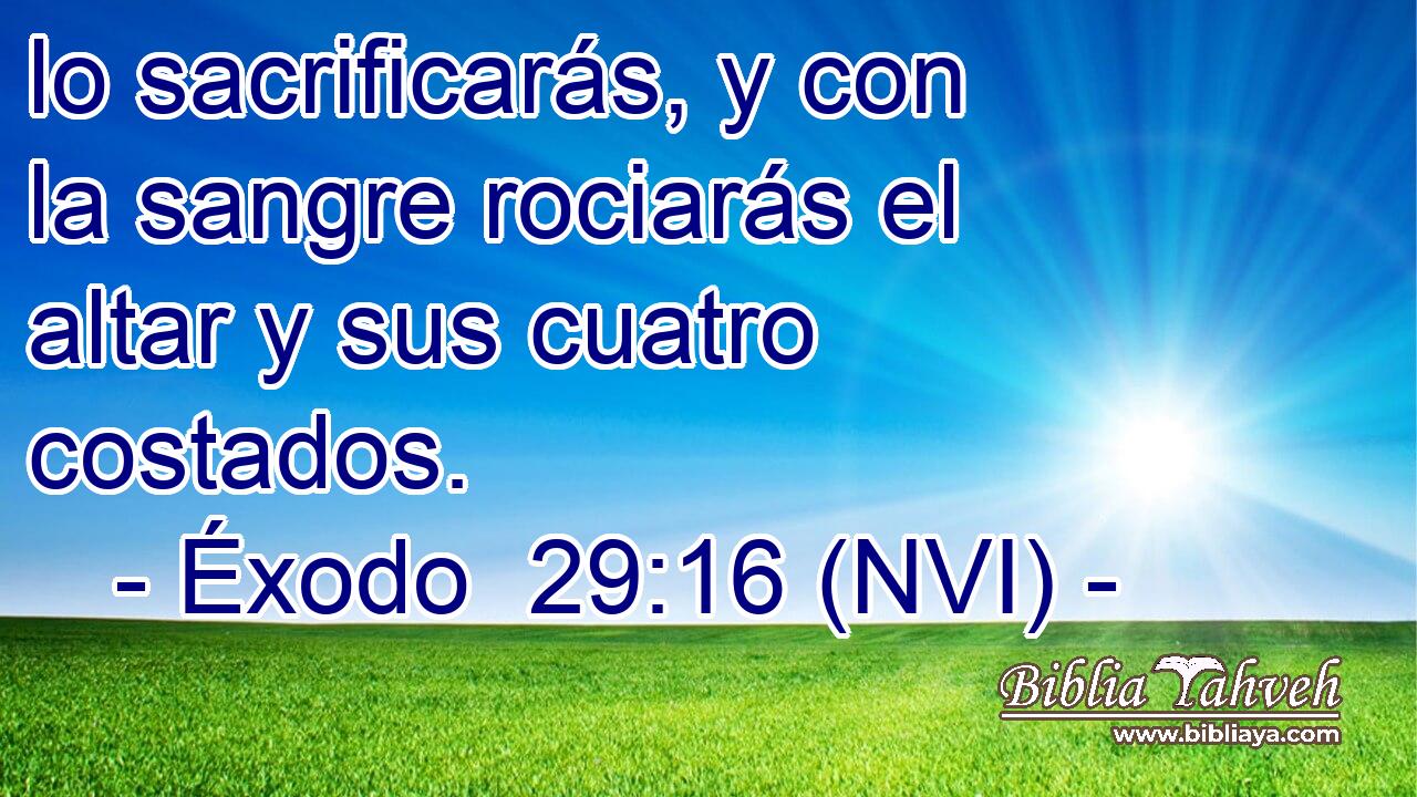  lo sacrificarás, y con la sangre rociarás el altar y sus cuatro costados. 