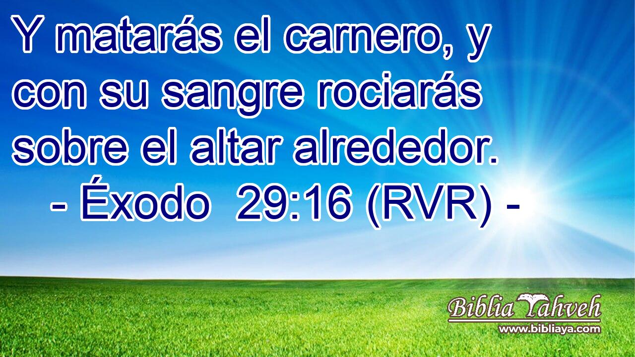 Y matarás el carnero, y con su sangre rociarás sobre el altar alrededor.