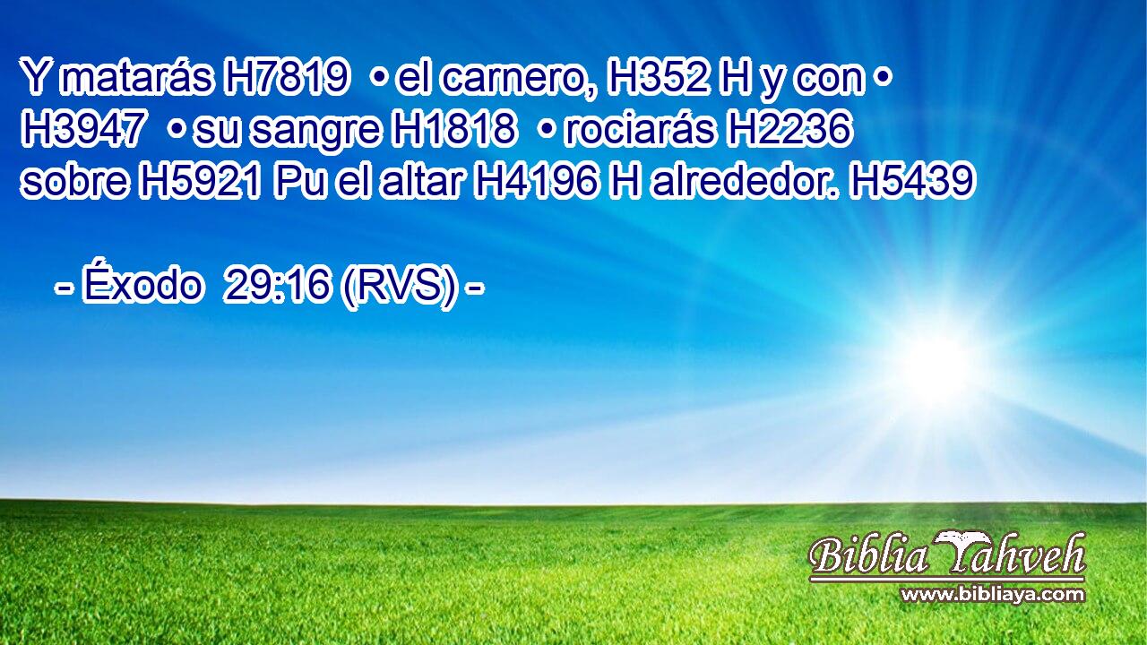 Y matarás H7819  • el carnero, H352 H y con • H3947  • su sangre H1818  • rociarás H2236  sobre H5921 Pu el altar H4196 H alrededor. H5439  