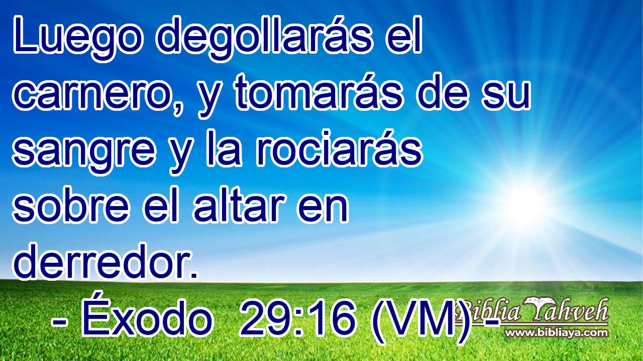  Luego degollarás el carnero, y tomarás de su sangre y la rociarás sobre el altar en derredor. 