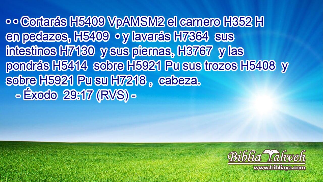 • • Cortarás H5409 VpAMSM2 el carnero H352 H en pedazos, H5409  • y lavarás H7364  sus intestinos H7130  y sus piernas, H3767  y las pondrás H5414  sobre H5921 Pu sus trozos H5408  y sobre H5921 Pu su H7218 ,  cabeza. 