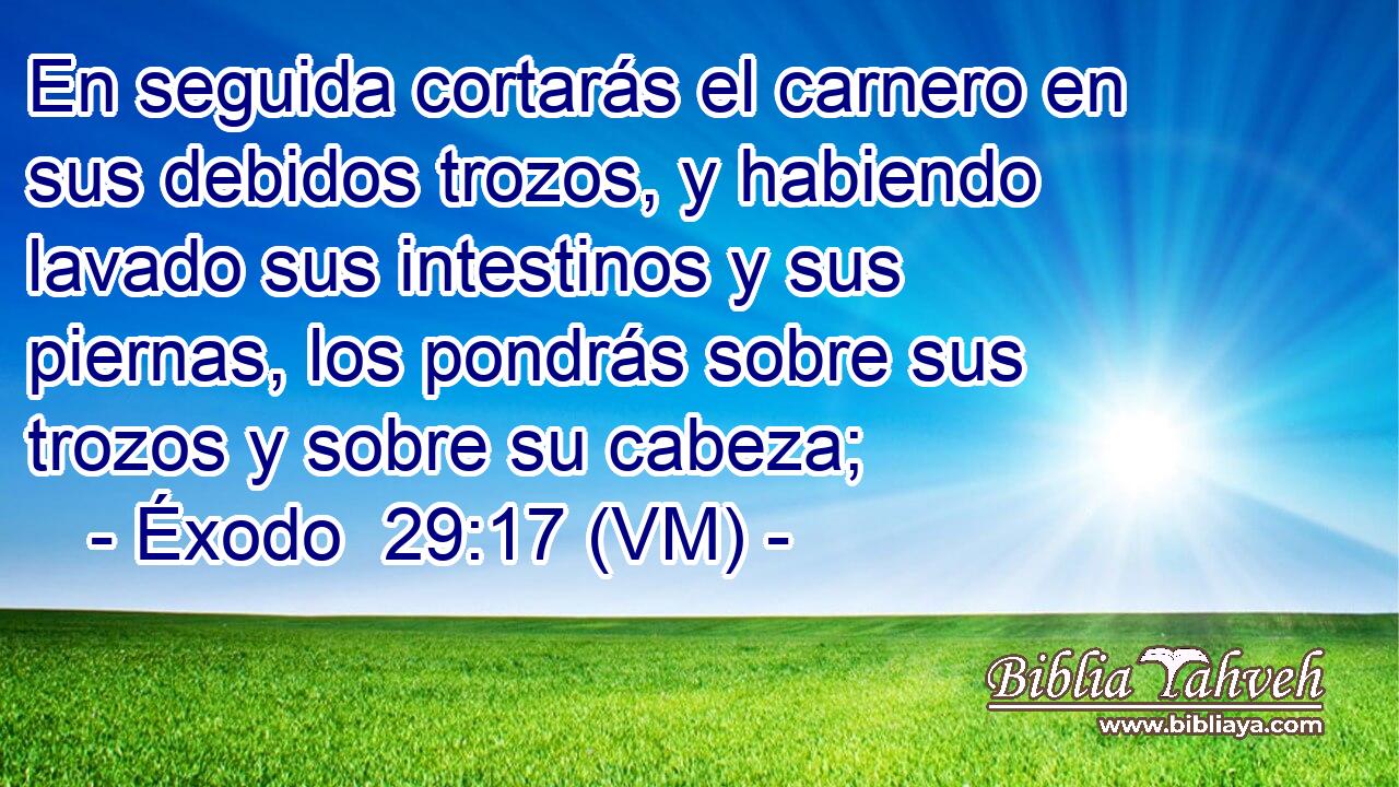  En seguida cortarás el carnero en sus debidos trozos, y habiendo lavado sus intestinos y sus piernas, los pondrás sobre sus trozos y sobre su cabeza; 