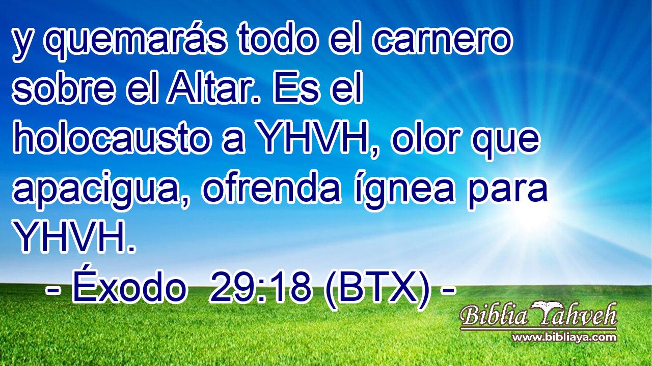 y quemarás todo el carnero sobre el Altar. Es el holocausto a YHVH, olor que apacigua, ofrenda ígnea para YHVH.