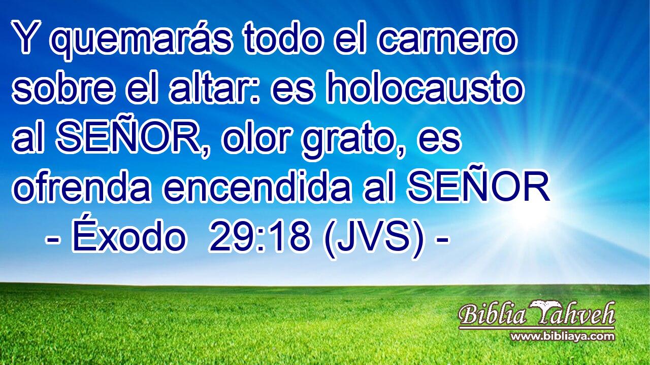 Y quemarás todo el carnero sobre el altar: es holocausto al SEÑOR, olor grato, es ofrenda encendida al SEÑOR