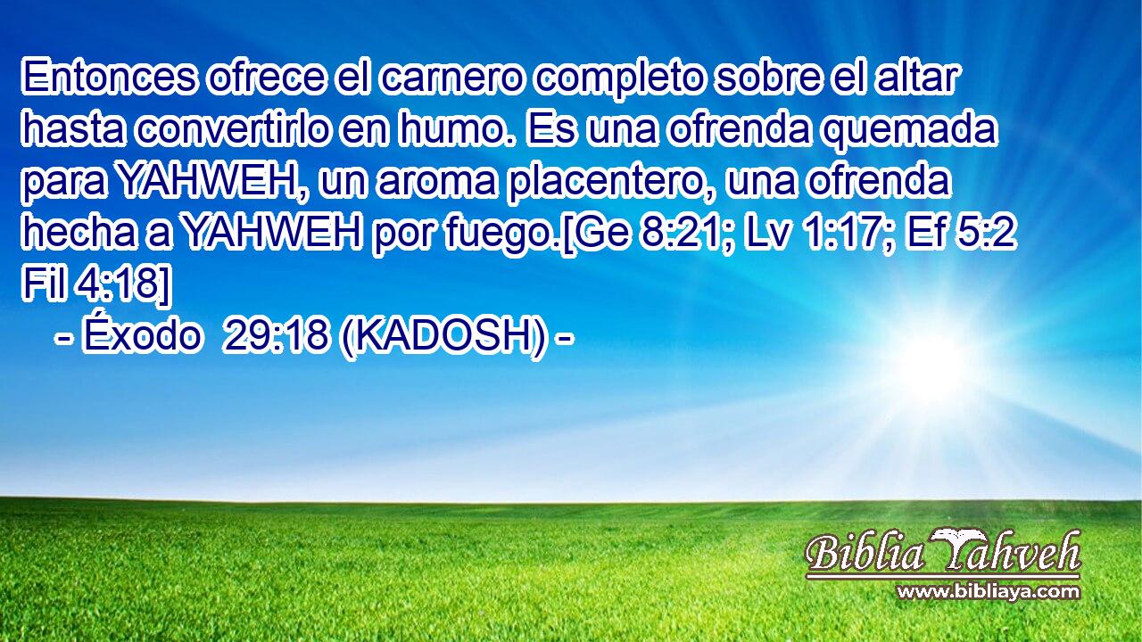 Entonces ofrece el carnero completo sobre el altar hasta convertirlo en humo. Es una ofrenda quemada para YAHWEH, un aroma placentero, una ofrenda hecha a YAHWEH por fuego.[Ge 8:21; Lv 1:17; Ef 5:2 Fil 4:18] 