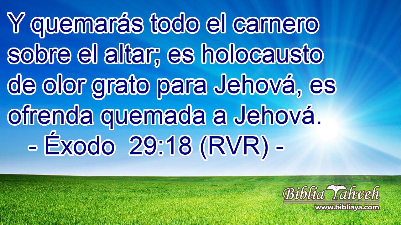 Y quemarás todo el carnero sobre el altar; es holocausto de olor grato para Jehová, es ofrenda quemada a Jehová.