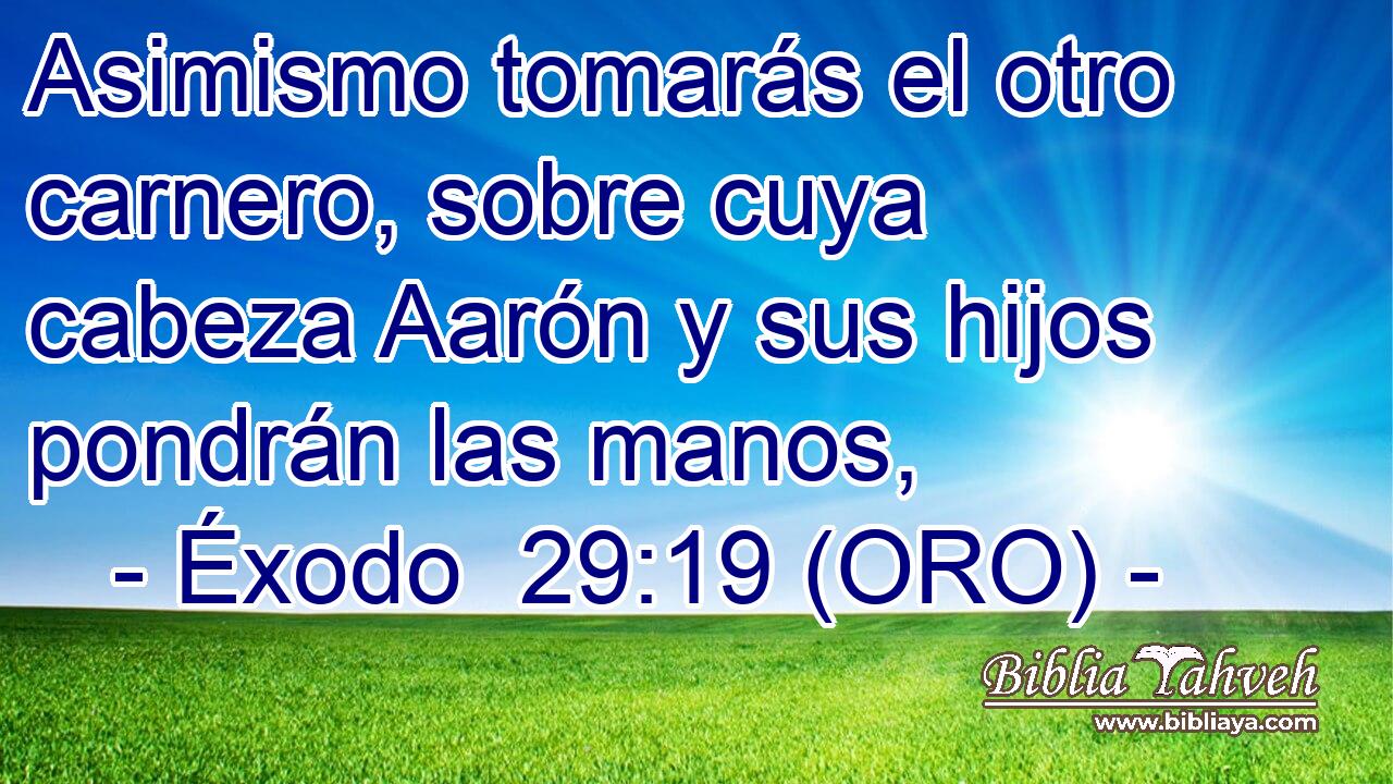  Asimismo tomarás el otro carnero, sobre cuya cabeza Aarón y sus hijos pondrán las manos, 