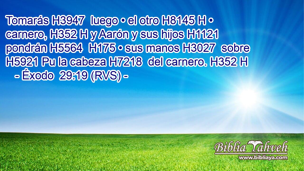 Tomarás H3947  luego • el otro H8145 H • carnero, H352 H y Aarón y sus hijos H1121  pondrán H5564  H175 • sus manos H3027  sobre H5921 Pu la cabeza H7218  del carnero. H352 H 