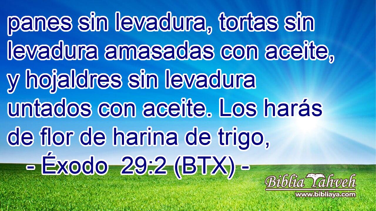 panes sin levadura, tortas sin levadura amasadas con aceite, y hojaldres sin levadura untados con aceite. Los harás de flor de harina de trigo,