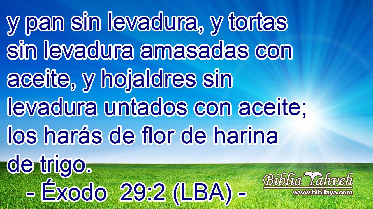 y pan sin levadura, y tortas sin levadura amasadas con aceite, y hojaldres sin levadura untados con aceite; los harás de flor de harina de trigo.