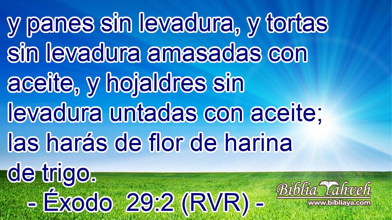 y panes sin levadura, y tortas sin levadura amasadas con aceite, y hojaldres sin levadura untadas con aceite; las harás de flor de harina de trigo.