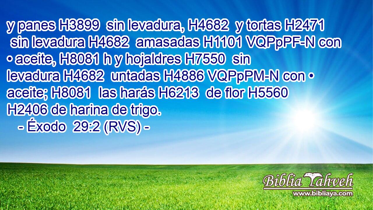 y panes H3899  sin levadura, H4682  y tortas H2471  sin levadura H4682  amasadas H1101 VQPpPF-N con • aceite, H8081 h y hojaldres H7550  sin levadura H4682  untadas H4886 VQPpPM-N con • aceite; H8081  las harás H6213  de flor H5560  H2406 de harina de trigo. 