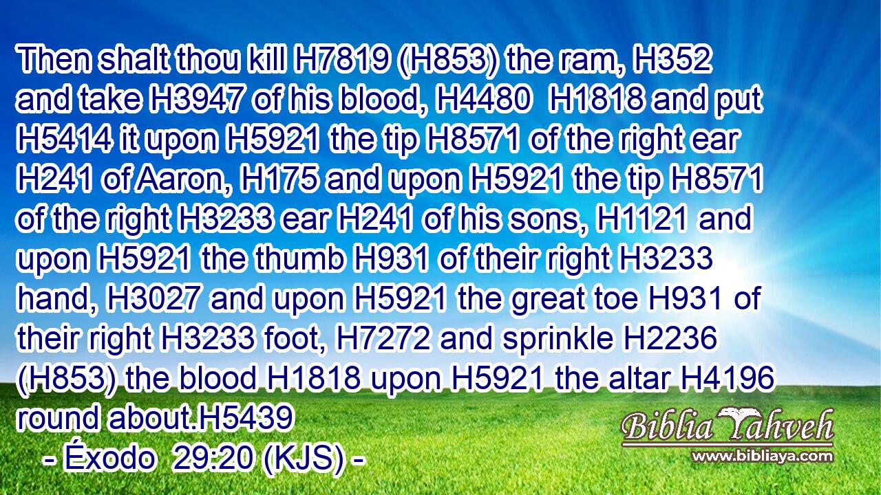 Then shalt thou kill H7819 (H853) the ram, H352 and take H3947 of his blood, H4480  H1818 and put H5414 it upon H5921 the tip H8571 of the right ear H241 of Aaron, H175 and upon H5921 the tip H8571 of the right H3233 ear H241 of his sons, H1121 and upon H5921 the thumb H931 of their right H3233 hand, H3027 and upon H5921 the great toe H931 of their right H3233 foot, H7272 and sprinkle H2236 (H853) the blood H1818 upon H5921 the altar H4196 round about.H5439