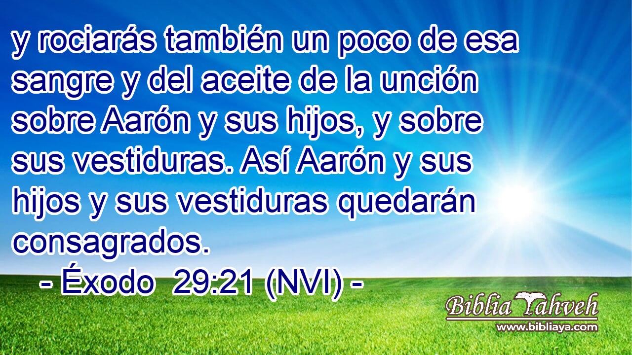  y rociarás también un poco de esa sangre y del aceite de la unción sobre Aarón y sus hijos, y sobre sus vestiduras. Así Aarón y sus hijos y sus vestiduras quedarán consagrados. 