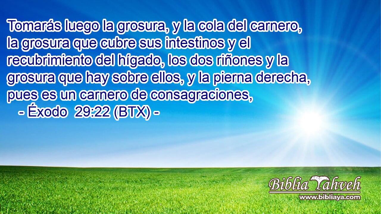 Tomarás luego la grosura, y la cola del carnero, la grosura que cubre sus intestinos y el recubrimiento del hígado, los dos riñones y la grosura que hay sobre ellos, y la pierna derecha, pues es un carnero de consagraciones,