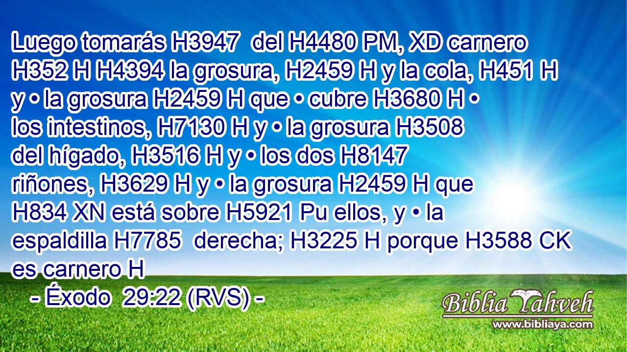 Luego tomarás H3947  del H4480 PM, XD carnero H352 H H4394 la grosura, H2459 H y la cola, H451 H y • la grosura H2459 H que • cubre H3680 H • los intestinos, H7130 H y • la grosura H3508  del hígado, H3516 H y • los dos H8147  riñones, H3629 H y • la grosura H2459 H que H834 XN está sobre H5921 Pu ellos, y • la espaldilla H7785  derecha; H3225 H porque H3588 CK es carnero H
