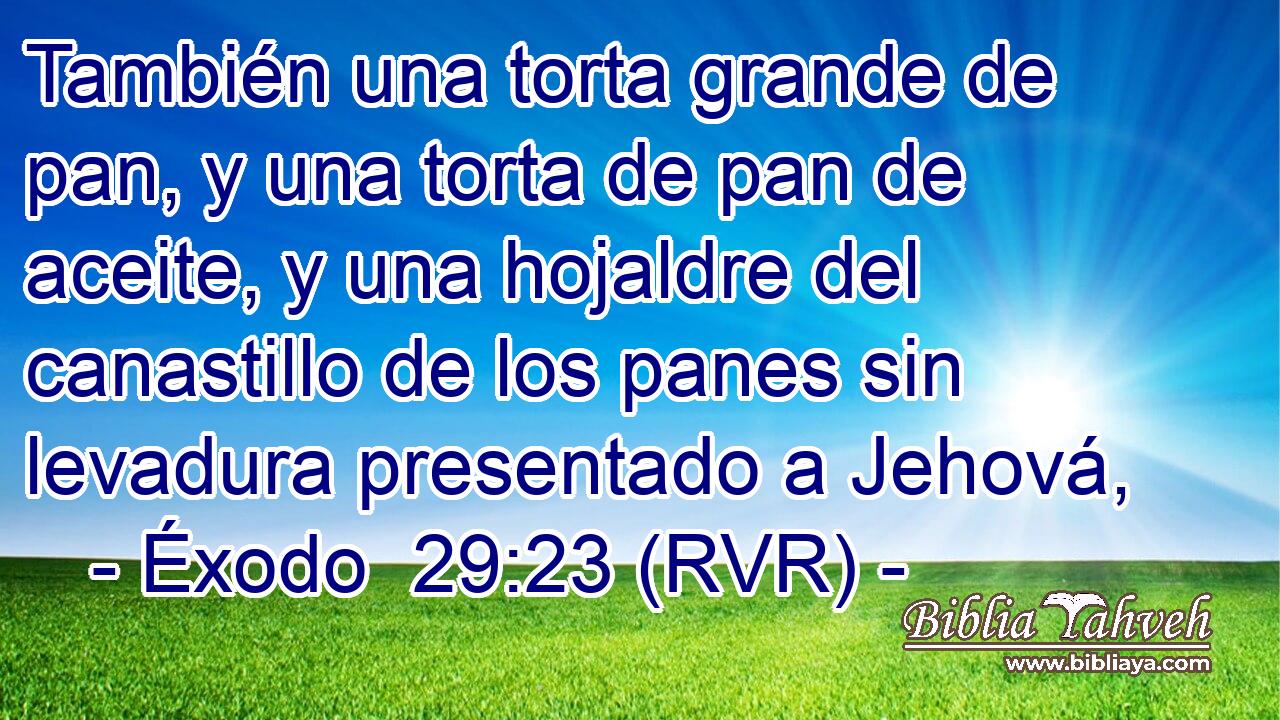 También una torta grande de pan, y una torta de pan de aceite, y una hojaldre del canastillo de los panes sin levadura presentado a Jehová,